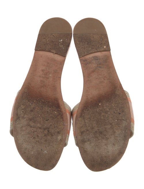 Christian Dior Printed Embroidered Accent Slides