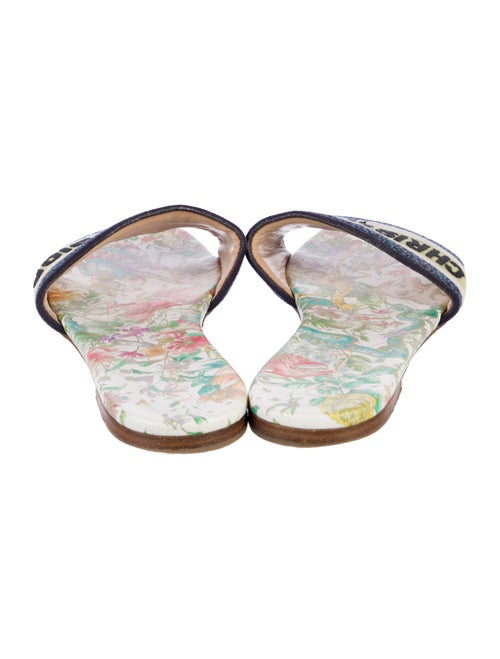 Christian Dior Canvas Printed Slides