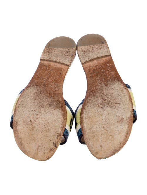 Christian Dior Canvas Printed Slides