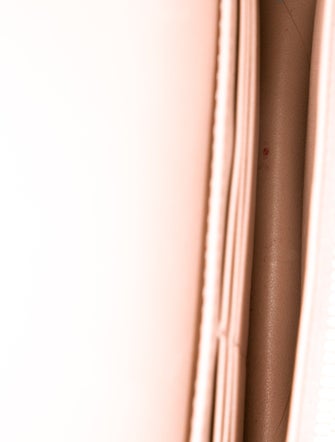 Christian Dior Leather Caro 2022