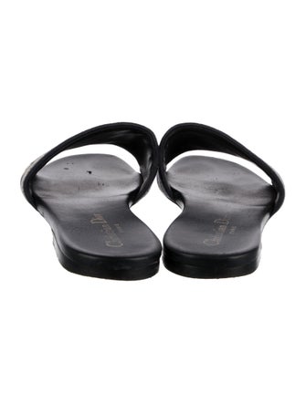 Christian Dior Canvas Graphic Print Slides