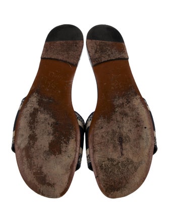 Christian Dior Canvas Graphic Print Slides