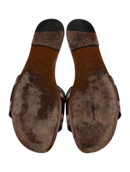 Christian Dior Canvas Graphic Print Slides