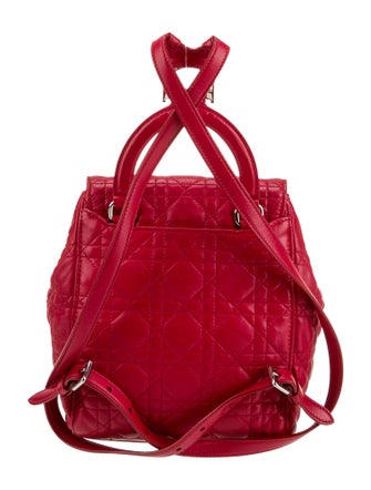 Christian Dior Leather Stardust