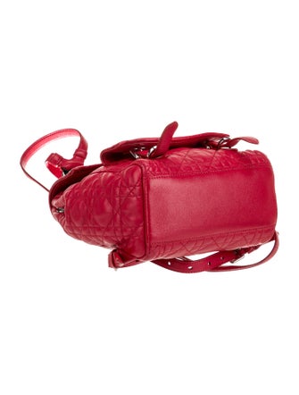 Christian Dior Leather Stardust