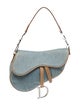Christian Dior Signature Saddle