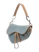 Christian Dior Signature Saddle