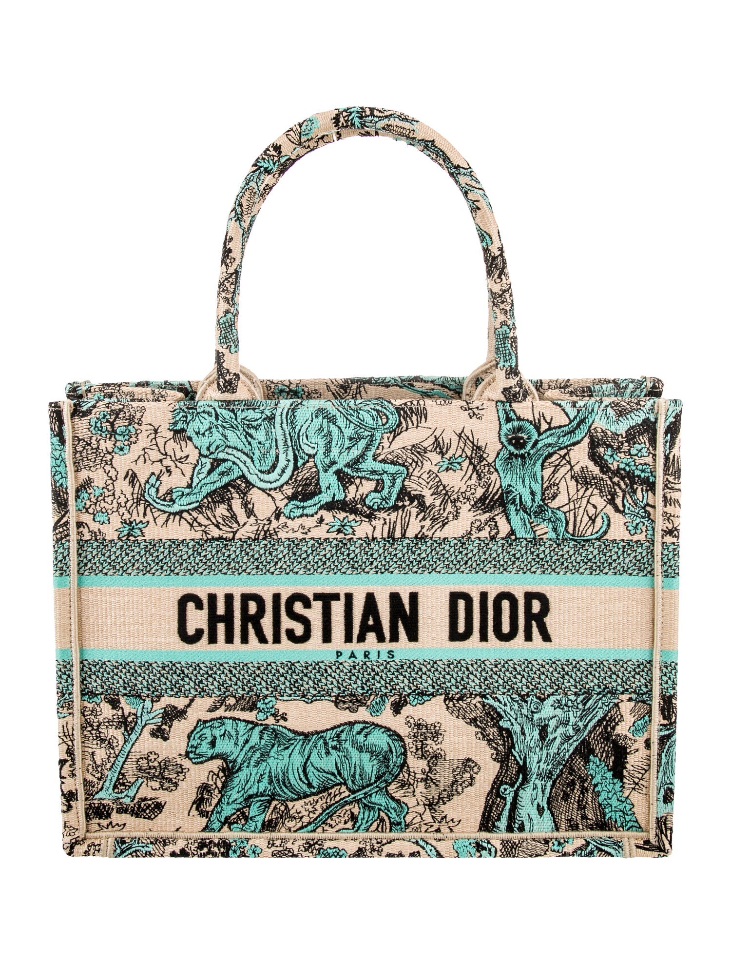 Christian Dior Canvas Book Medium 2024