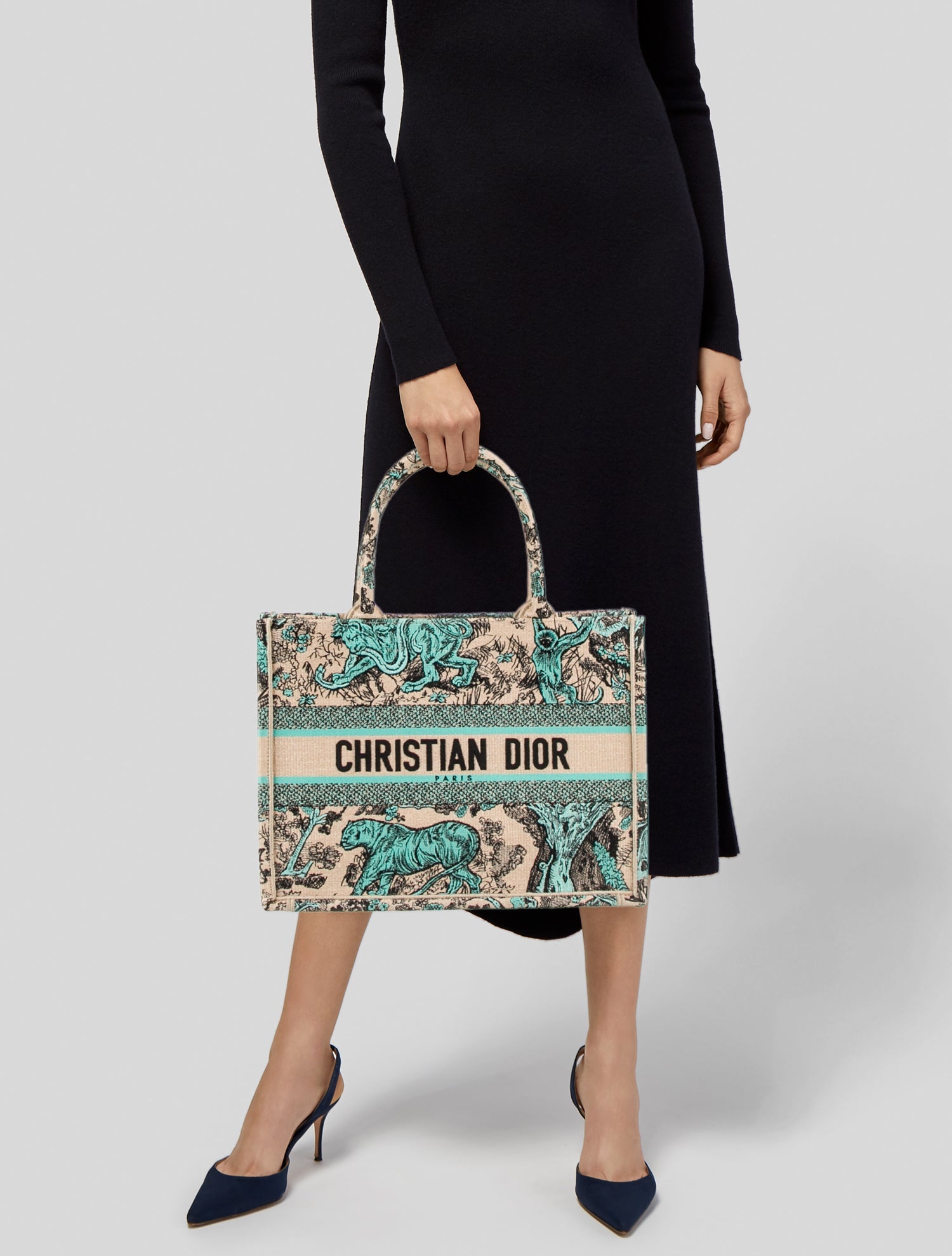 Christian Dior Canvas Book Medium 2024