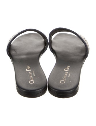 Christian Dior Canvas Printed Flats