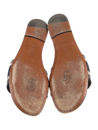 Christian Dior Canvas Printed Flats