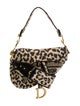 Christian Dior Canvas Celine Saddle