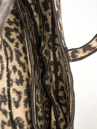 Christian Dior Canvas Celine Saddle