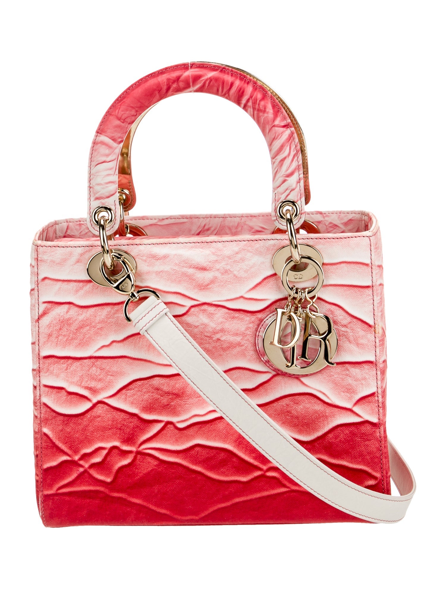 Christian Dior Canvas Lady Dior 2022