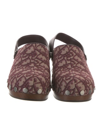 Christian Dior Canvas Printed Slingback Pumps