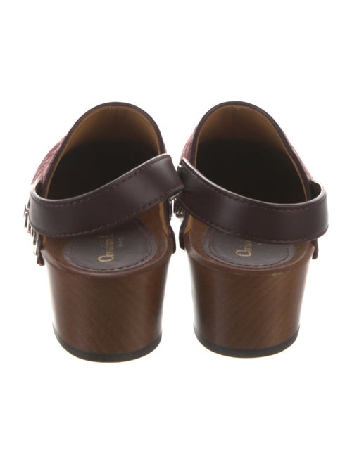 Christian Dior Canvas Printed Slingback Pumps