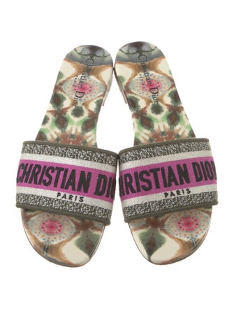 Christian Dior Printed Embroidered Accent Slides