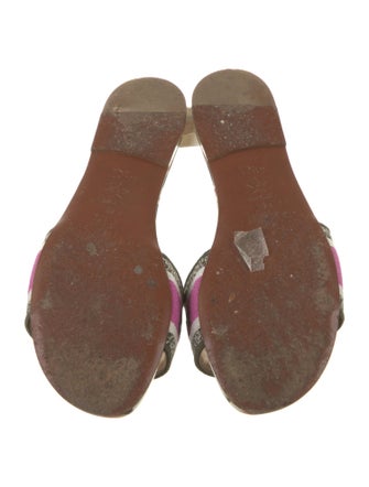 Christian Dior Printed Embroidered Accent Slides