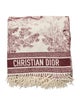 Christian Dior 2019 Cruise Toile de Jouy Throw Blanket
