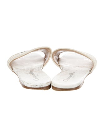 Christian Dior Printed Embroidered Accent Slides