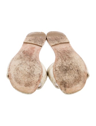 Christian Dior Printed Embroidered Accent Slides