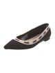 Christian Dior Printed Embroidered Accent Flats