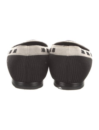 Christian Dior Printed Embroidered Accent Flats