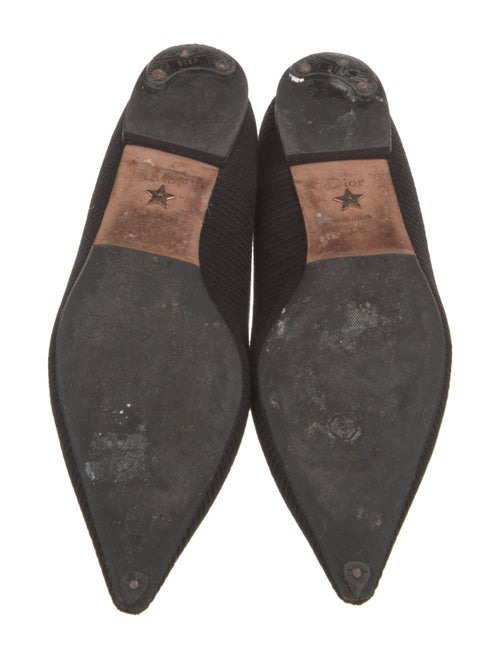 Christian Dior Printed Embroidered Accent Flats