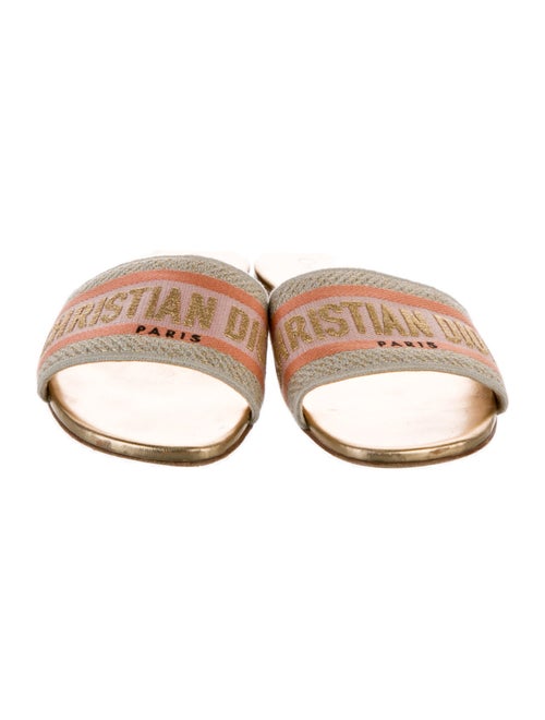 Christian Dior Canvas Printed Slides