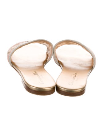 Christian Dior Canvas Printed Slides