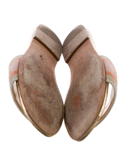 Christian Dior Canvas Printed Slides