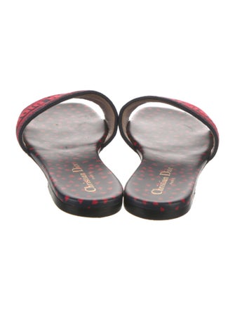 Christian Dior Printed Slides