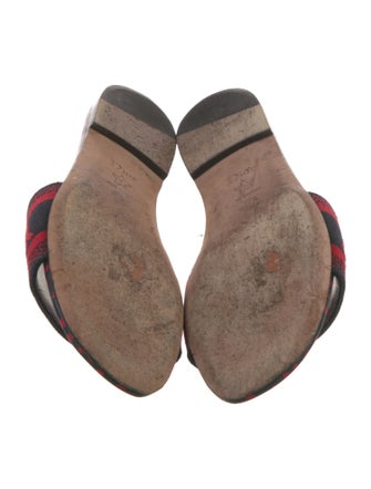 Christian Dior Printed Slides