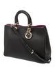 Christian Dior Leather Diorissimo Large