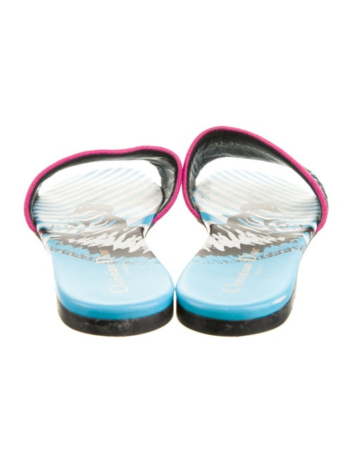 Christian Dior Printed Slides