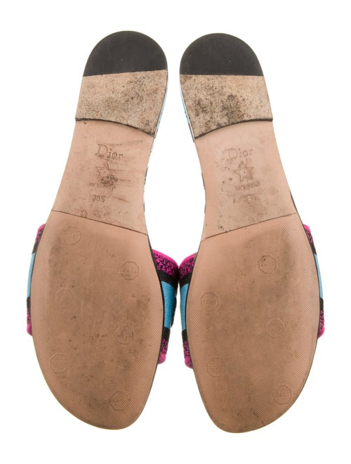 Christian Dior Printed Slides