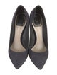 Christian Dior Suede Pumps
