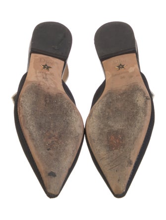 Christian Dior Printed Slingback Flats