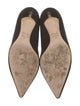 Christian Dior Suede Pumps