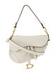 Christian Dior Leather Saddle 2022