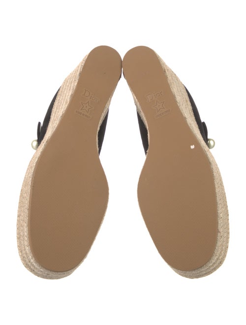 Christian Dior Suede Pumps