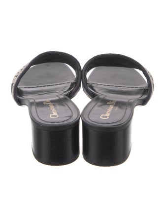 Christian Dior Printed Slides
