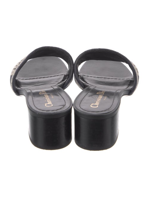Christian Dior Printed Slides