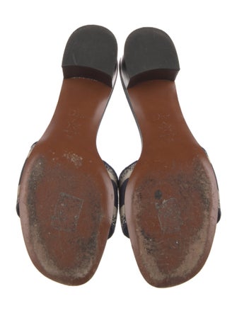 Christian Dior Printed Slides