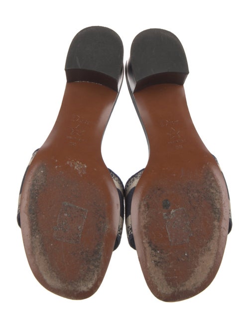 Christian Dior Printed Slides