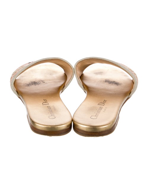 Christian Dior Canvas Printed Slides