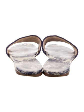 Christian Dior Oblique Jacquard Embroidered Accent Slides