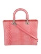 Christian Dior Python Lady Dior Large