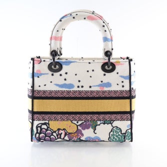 Christian Dior Canvas Lady D-Lite Medium 2022