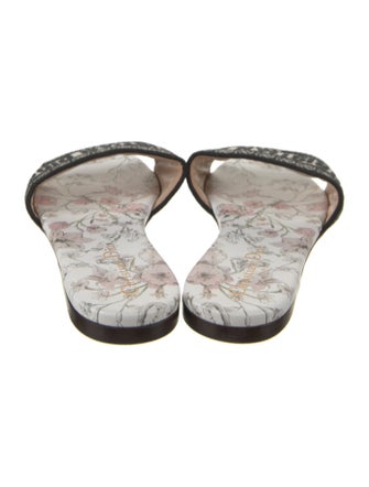 Christian Dior Jacquard Printed Slides